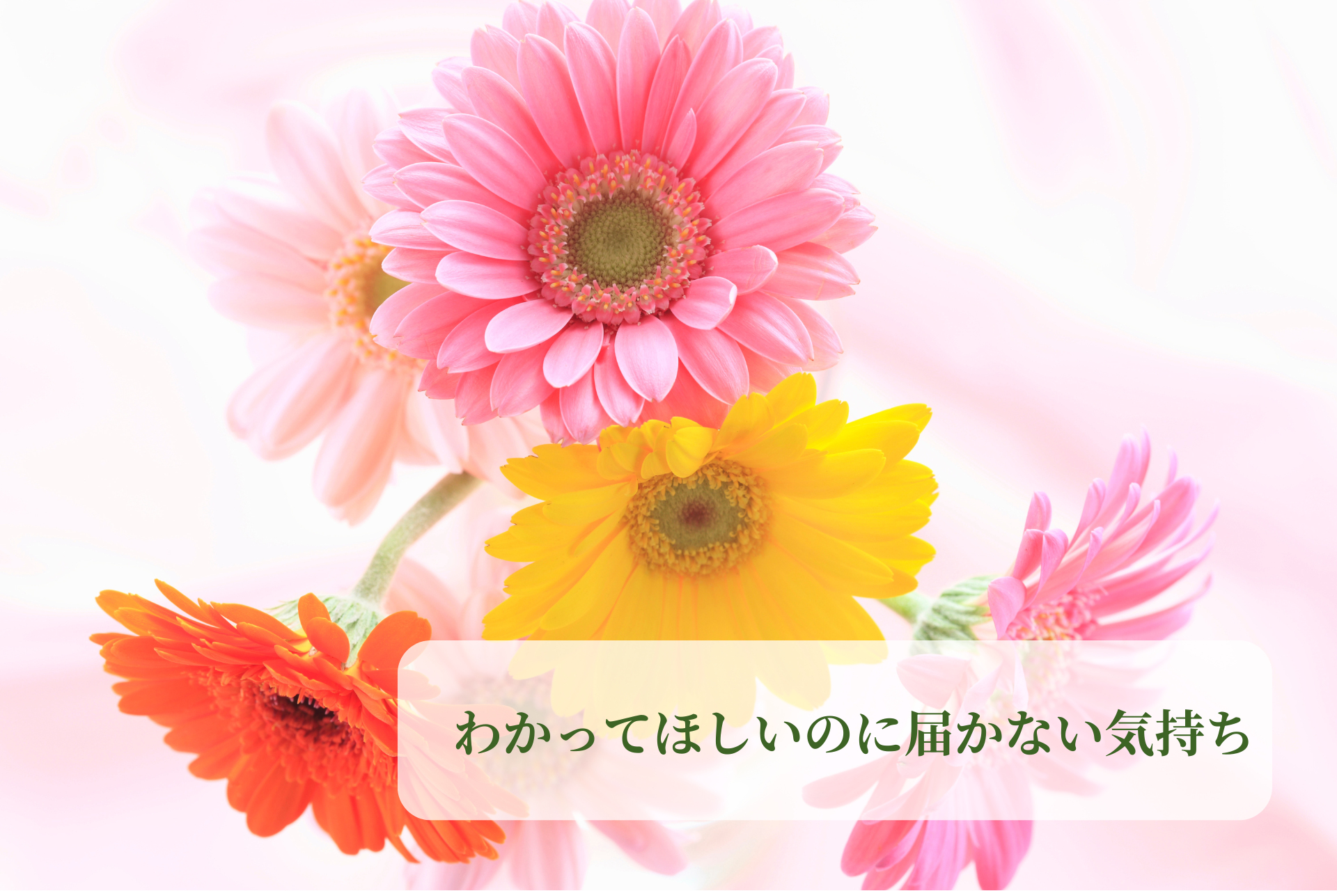 わかってほしいのに届かない…その気持ちを“自分で受け止める”という選択